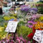 Emerging Trends in Floriculture in Singapore