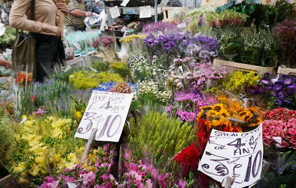 Emerging Trends in Floriculture in Singapore